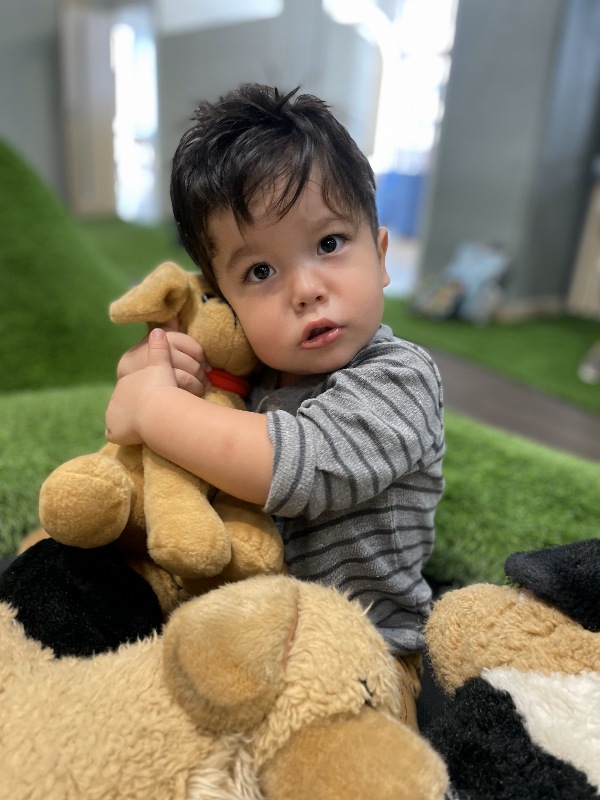 Vemos a un pequeño abrazando peluches. Tu hijo llora al ir al colegio, en Colegio APDE Connections Cayalá te damos tips para ayudarlo